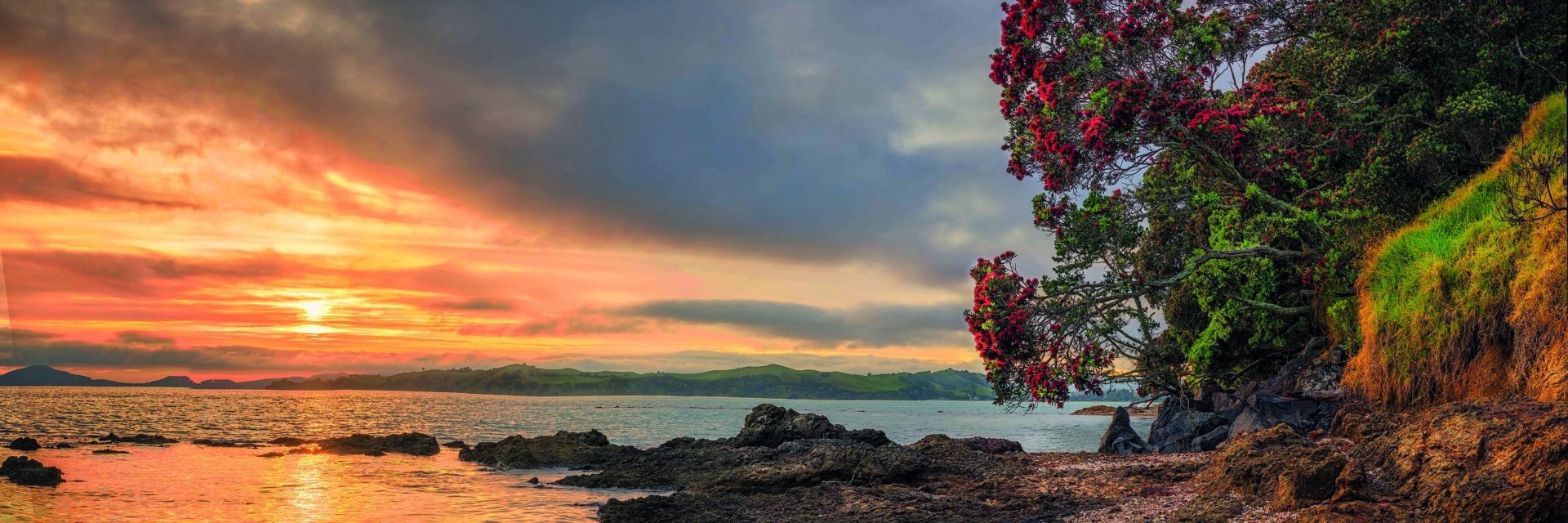 Magazine Bay Pohutukawa LR 