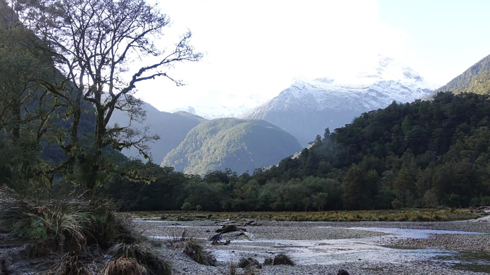 Valley landscape