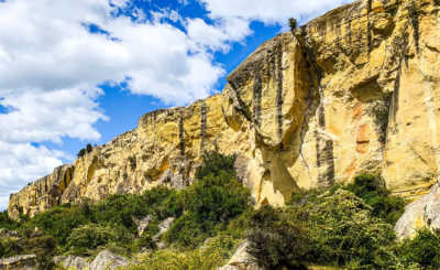 Limestone Ecosystems